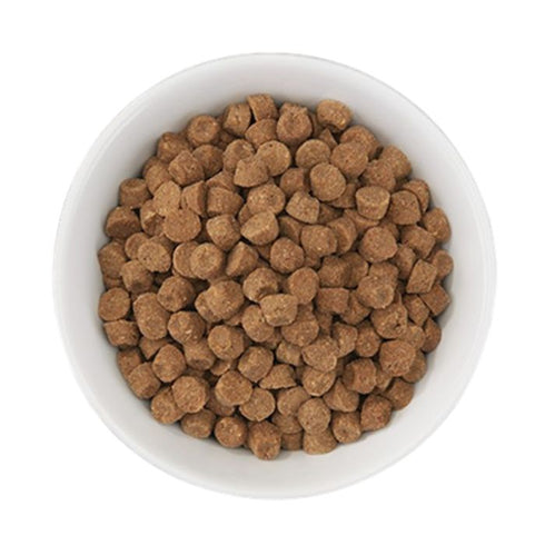 Tiki Cat Born Carnivore High Protein Herring & Salmon Dry Cat Food 2.8lb Poudre Pet & Feed Supply 3